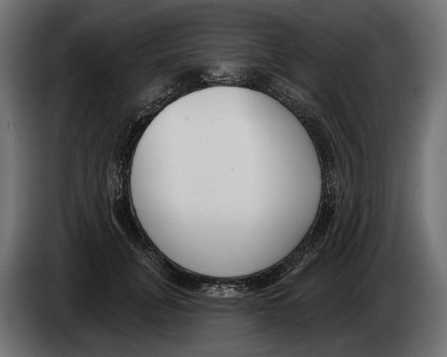 X0000083530751200703021552