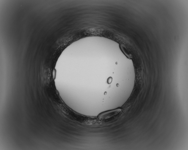 X0000083530752200703021552