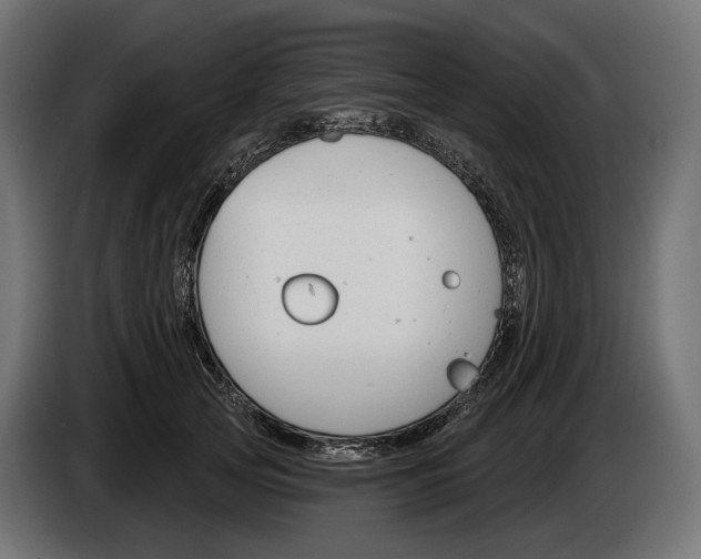 X0000083530753200703021552