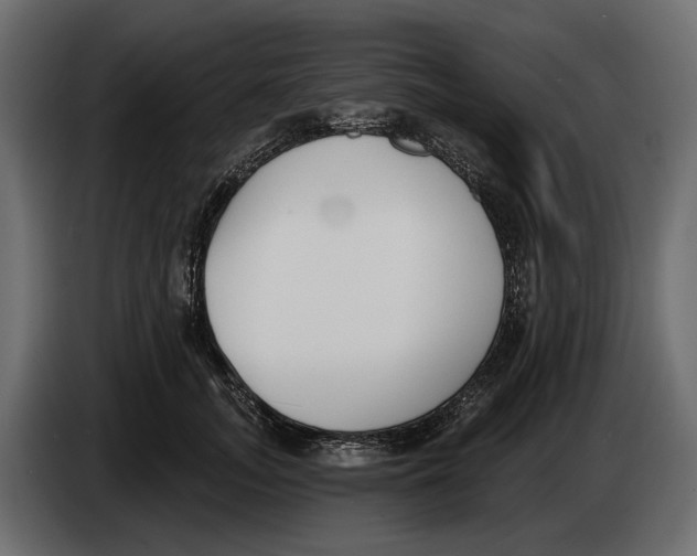 X0000083530755200703021552