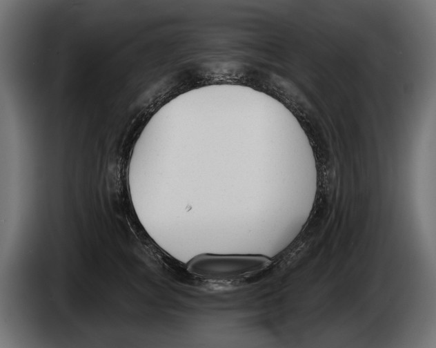 X0000083530757200703021552