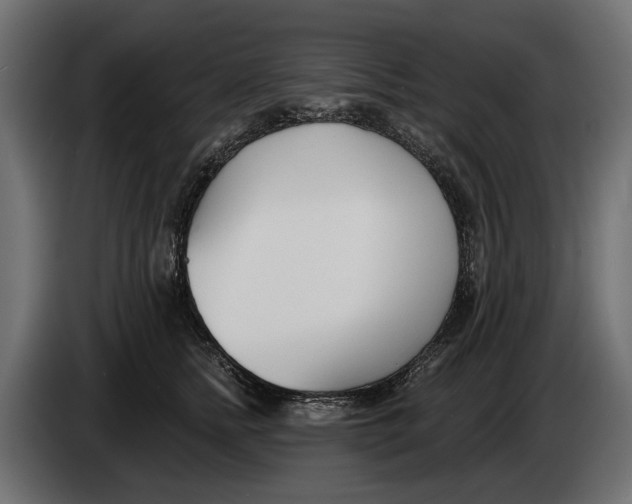 X0000083530758200703021552