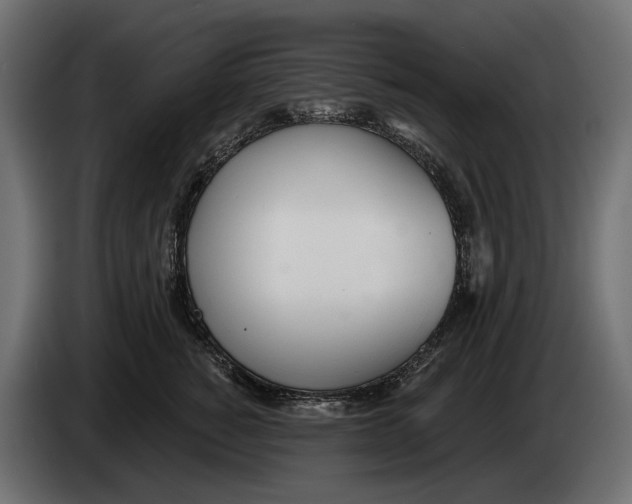 X0000083530760200703021552