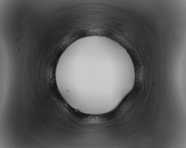 X0000083530764200703021552