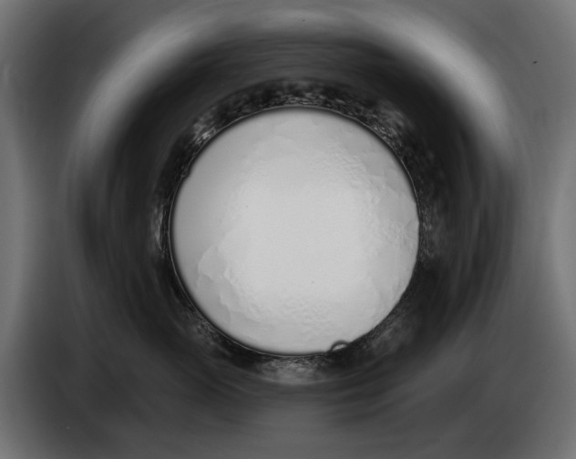 X0000083530765200703021552