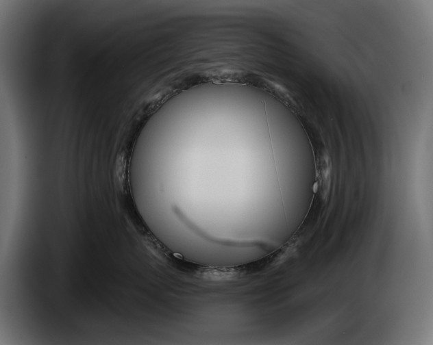 X0000083530767200703021552