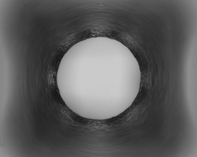 X0000083530770200703021551