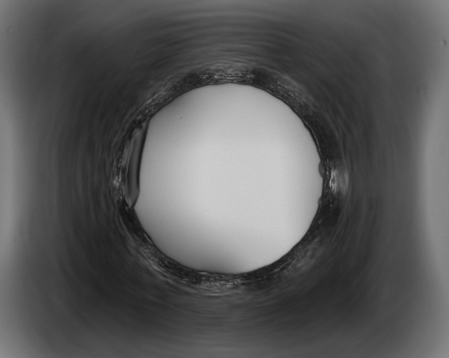 X0000083530771200703021551