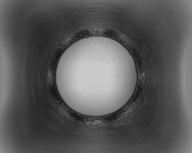 X0000083530772200703021551