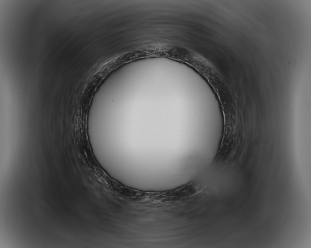 X0000083530773200703021551