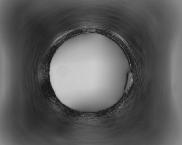 X0000083530775200703021551