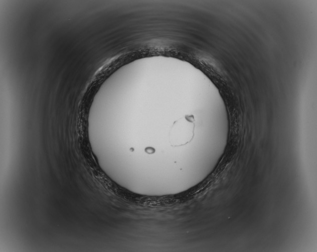 X0000083530776200703021551