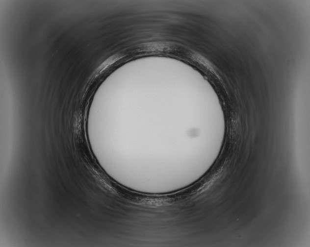 X0000083530778200703021551