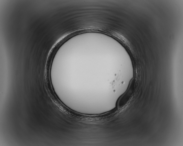 X0000083530780200703021551