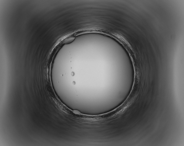 X0000083530781200703021551