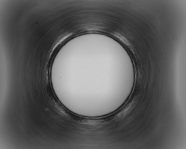 X0000083530782200703021551