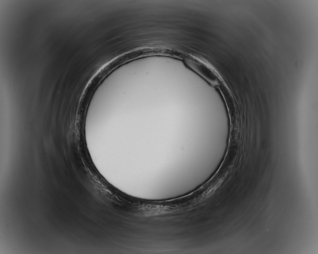 X0000083530783200703021551