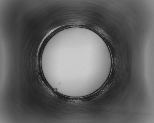 X0000083530784200703021551