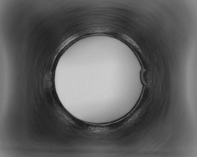 X0000083530786200703021551