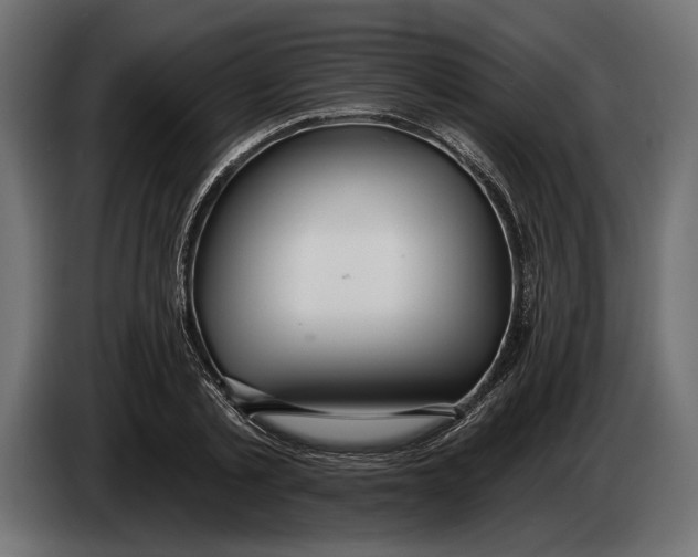 X0000083530789200703021551