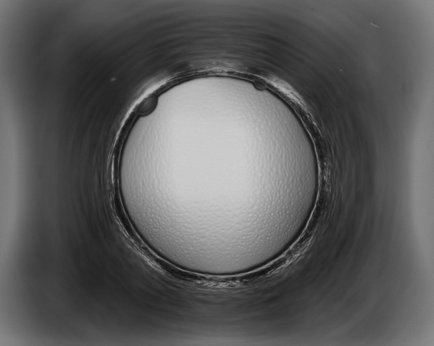 X0000083530790200703021551