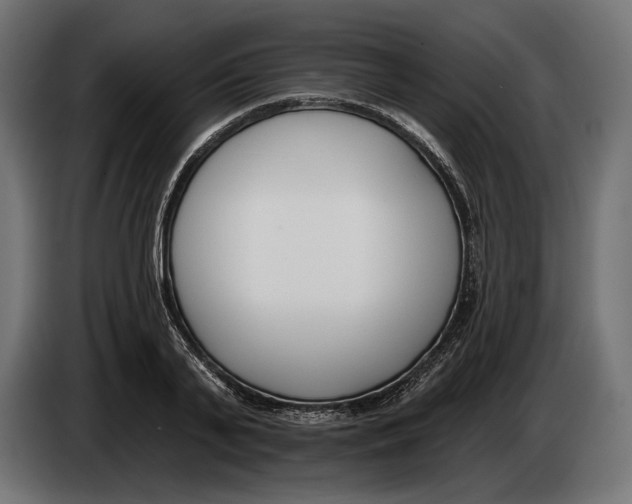 X0000083530791200703021551