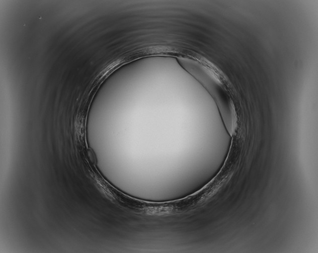 X0000083530793200703021551