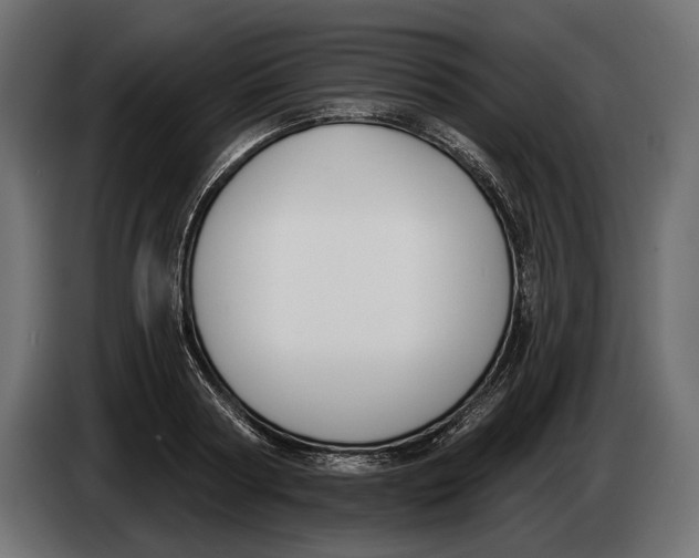 X0000083530794200703021551