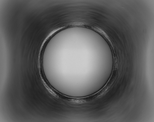 X0000083530795200703021551