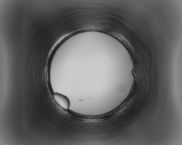 X0000083530796200703021551