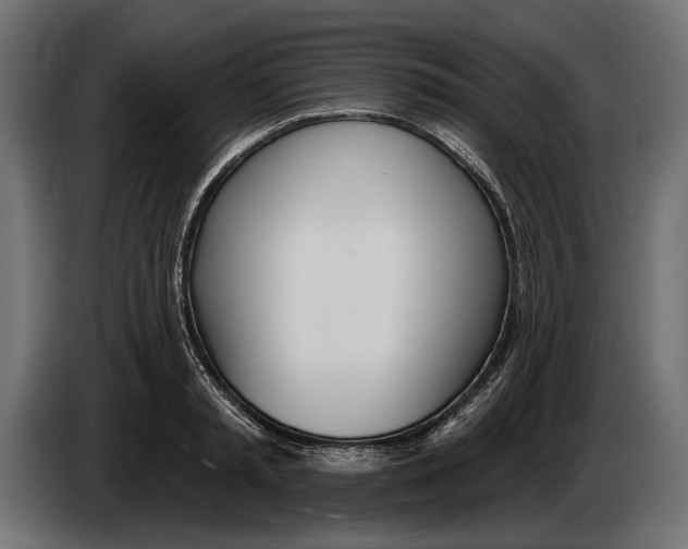 X0000083530797200703021551