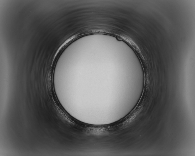 X0000083530798200703021551