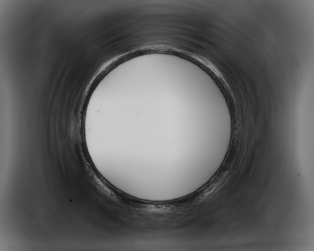 X0000083530799200703021551