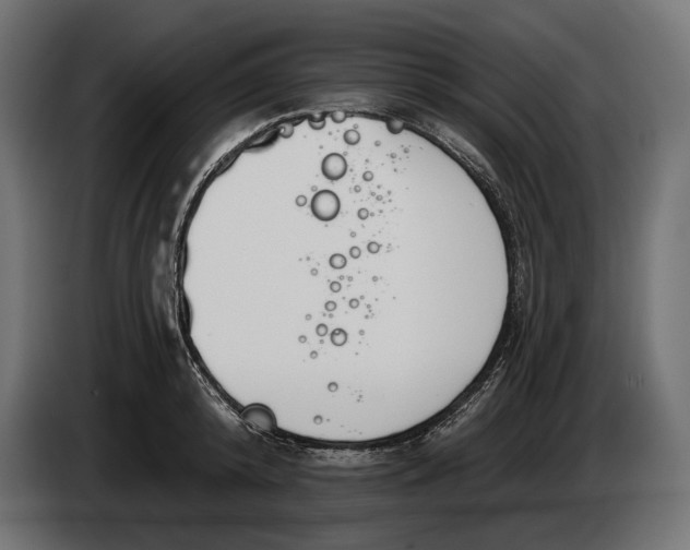 X0000083530800200703021551