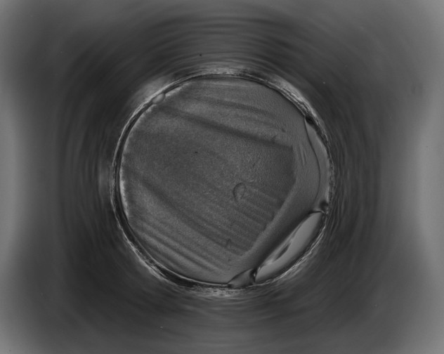 X0000083530802200703021551