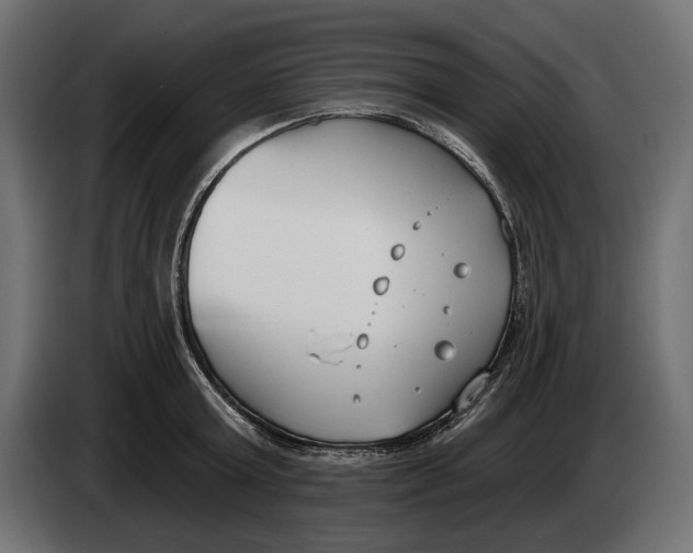 X0000083530803200703021551