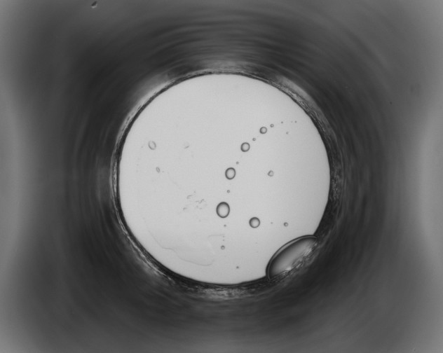 X0000083530804200703021551