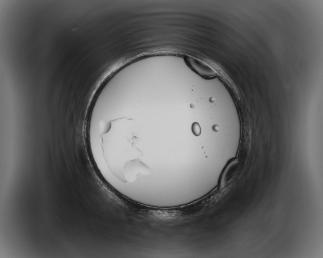 X0000083530805200703021551