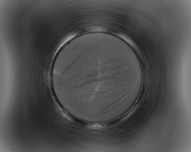 X0000083530806200703021551