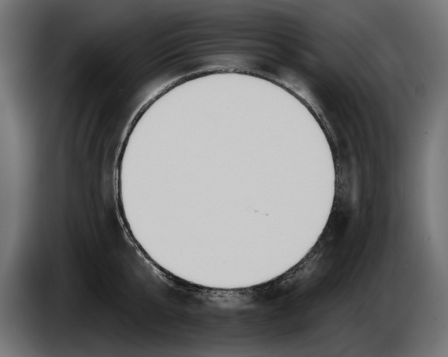 X0000083530807200703021551