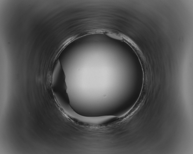 X0000083530809200703021551