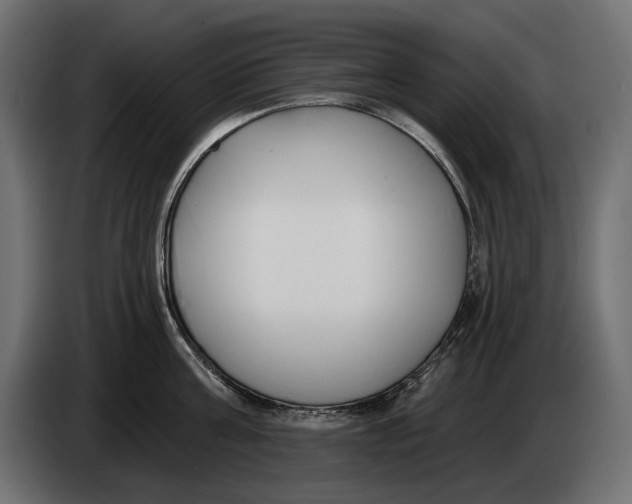 X0000083530811200703021551