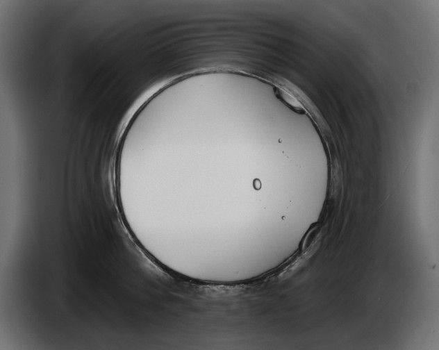 X0000083530812200703021550