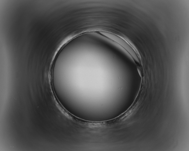 X0000083530813200703021550