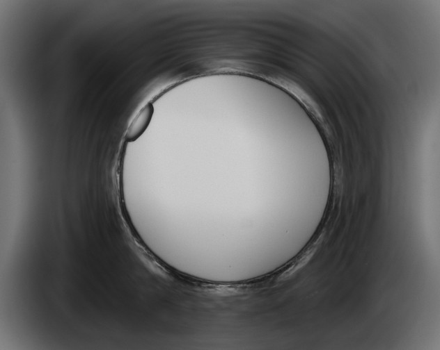 X0000083530814200703021550