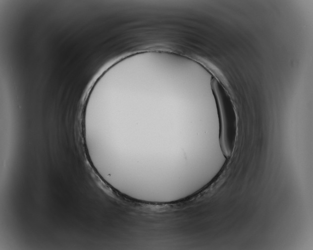 X0000083530816200703021550