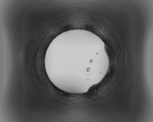 X0000083530817200703021550