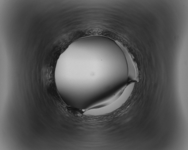 X0000083530818200703021550