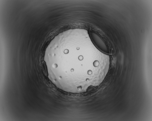 X0000083530819200703021550