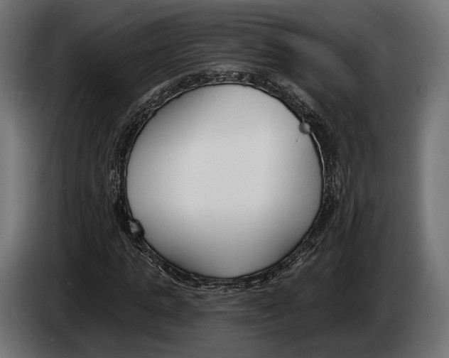 X0000083530821200703021550